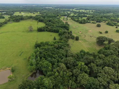 00 County Road 2437, Como, TX 75431 photo 9
