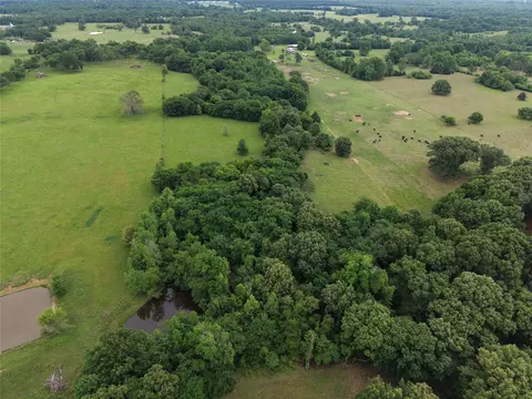 00 County Road 2437, Como, TX 75431 photo 8