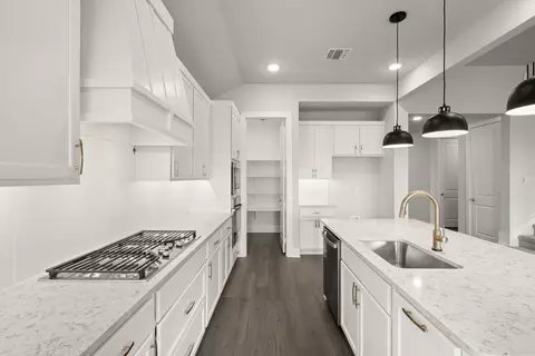 Kitchen - 1721 Nesting Robin Ln, Krum, TX 76249 photo 5 of 6