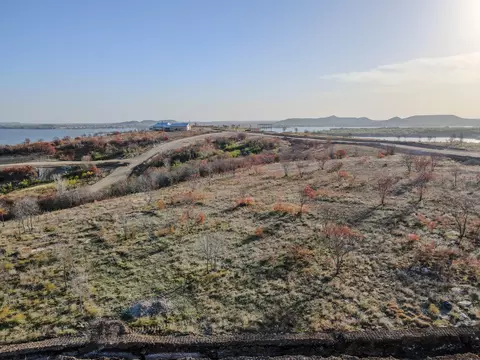 lot42 Water Lilly Ln, Possum Kingdom Lake, TX 76450