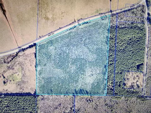 000 Hwy 157, Plain Dealing, LA 71064 photo 3