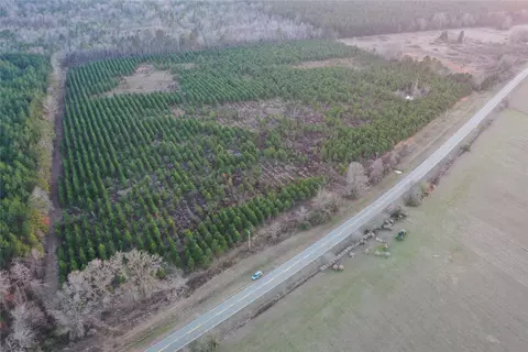 000 Hwy 157, Plain Dealing, LA 71064 photo 2