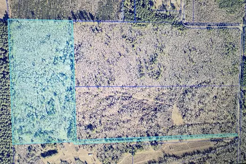 000 Hwy 157, Plain Dealing, LA 71064 photo 4