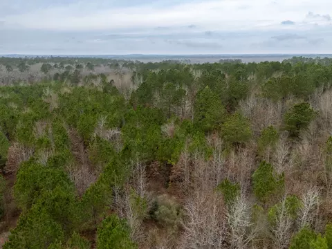 0 Blocker Rd, Marshall, TX 75672 photo 21