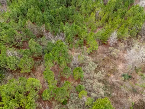 0 Blocker Rd, Marshall, TX 75672 photo 19