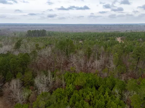 0 Blocker Rd, Marshall, TX 75672 photo 3