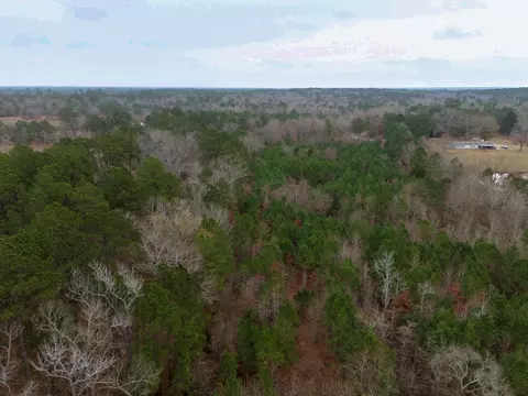 0 Blocker Rd, Marshall, TX 75672 photo 24