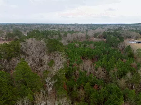 0 Blocker Rd, Marshall, TX 75672 photo 10