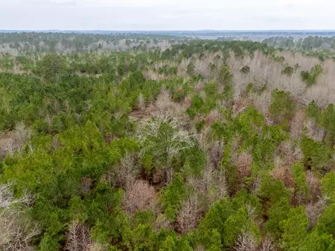 0 Blocker Rd, Marshall, TX 75672 photo 18