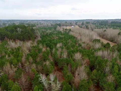 0 Blocker Rd, Marshall, TX 75672 photo 5