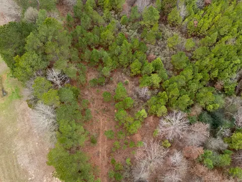 0 Blocker Rd, Marshall, TX 75672 photo 8