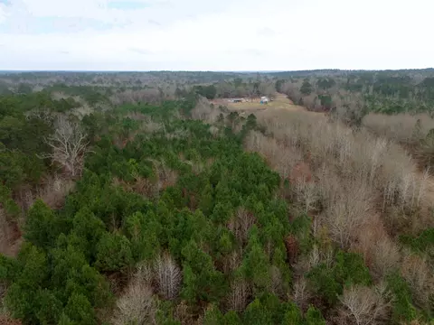 0 Blocker Rd, Marshall, TX 75672 photo 11