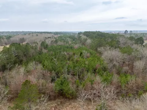 0 Blocker Rd, Marshall, TX 75672 photo 9