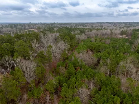 0 Blocker Rd, Marshall, TX 75672 photo 15