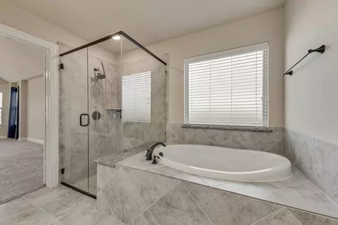 Bath - 2425 Moon Dance Ln, Midlothian, TX 76065 photo 5 of 6
