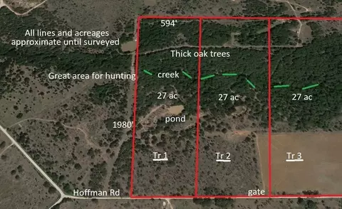 Tr 1 Hoffman Road, Loving, TX 76460