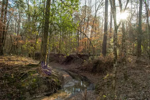 0 Chatfield Rd, Livingston, TX 77351