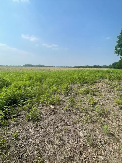 tbd County Line, Commerce, TX 75428 photo 6