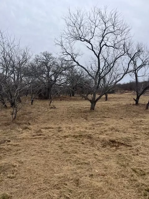 Tract 7 Of 17 Ac Burwick Road, Jacksboro, TX 76458