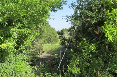 4089 County Road 233, Hico, TX 76457 photo 14