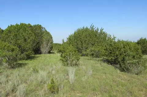 4089 County Road 233, Hico, TX 76457 photo 10