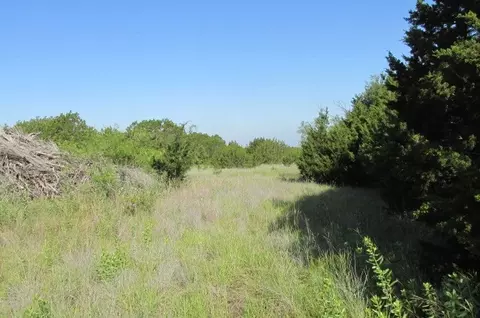 4089 County Road 233, Hico, TX 76457 photo 7