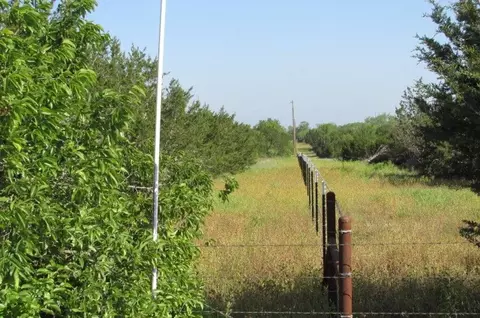 4089 County Road 233, Hico, TX 76457 photo 13