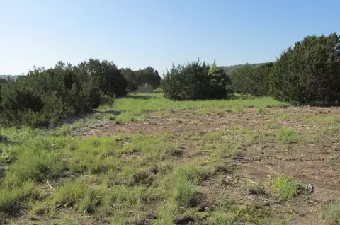 4089 County Road 233, Hico, TX 76457 photo 11