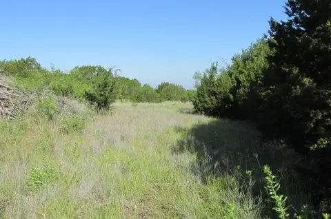 4089 County Road 233, Hico, TX 76457 photo 9