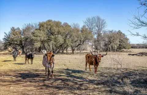 15 Acres Fm 2210, Bridgeport, TX 76426
