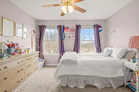 Bedroom - 12481 Stice Rd, Krum, TX 76249 photo 3 of 5