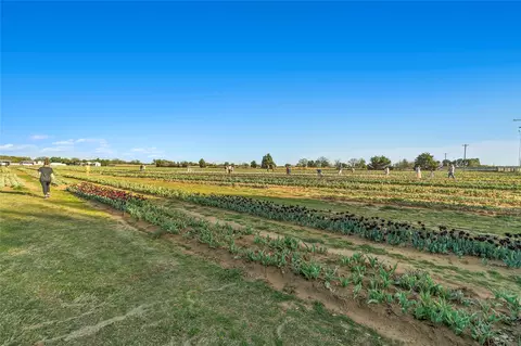 14111 Bacton Rd, Pilot Point, TX 76258 photo 8