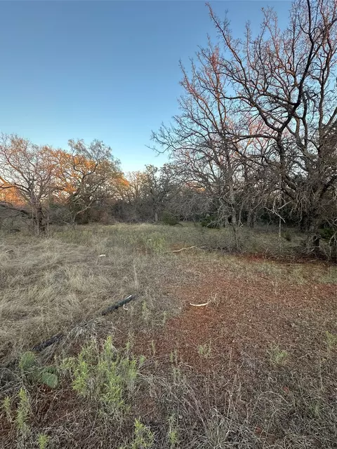 tbd Thomas 80 Rnch, Bangs, TX 76823 photo 4