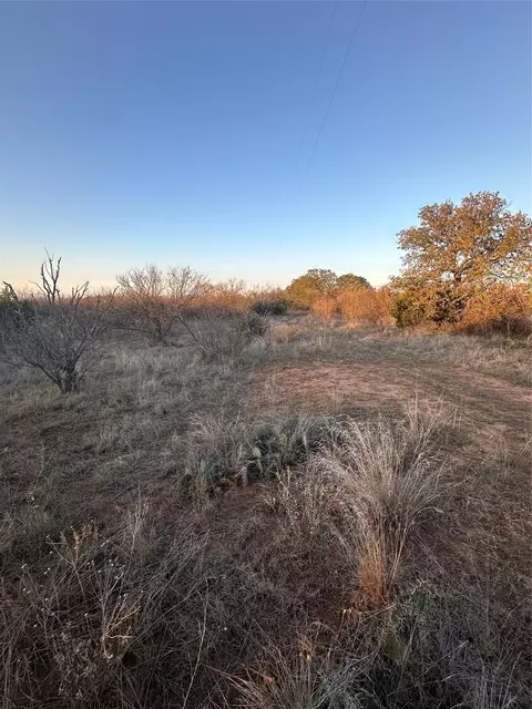 tbd Thomas 80 Rnch, Bangs, TX 76823 photo 13
