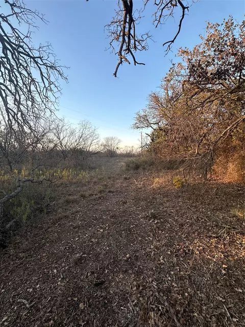 tbd Thomas 80 Rnch, Bangs, TX 76823 photo 24