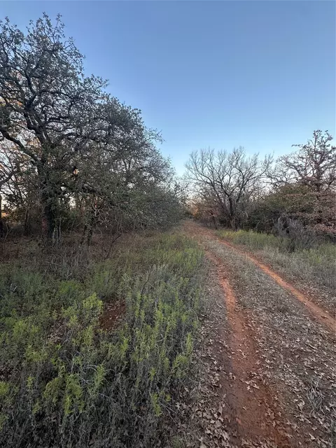 tbd Thomas 80 Rnch, Bangs, TX 76823 photo 8