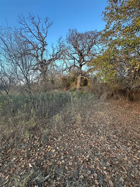 tbd Thomas 80 Rnch, Bangs, TX 76823 photo 20