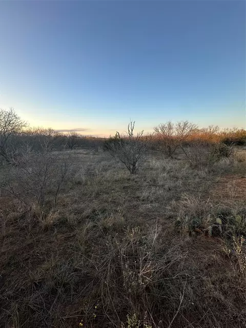 tbd Thomas 80 Rnch, Bangs, TX 76823 photo 12