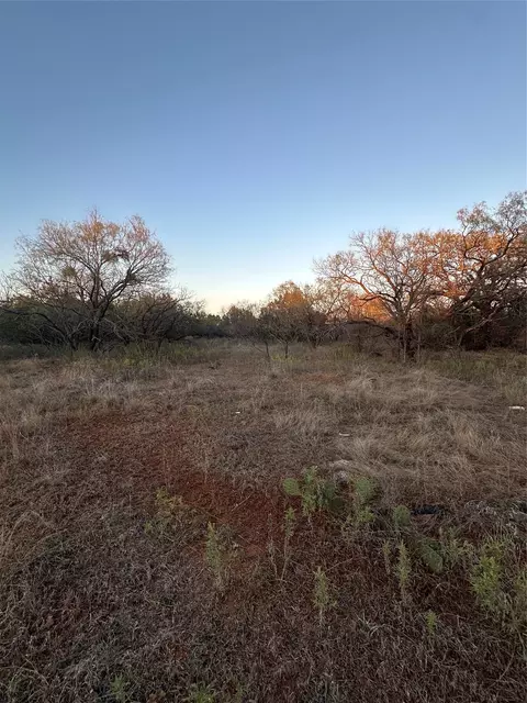 tbd Thomas 80 Rnch, Bangs, TX 76823 photo 3