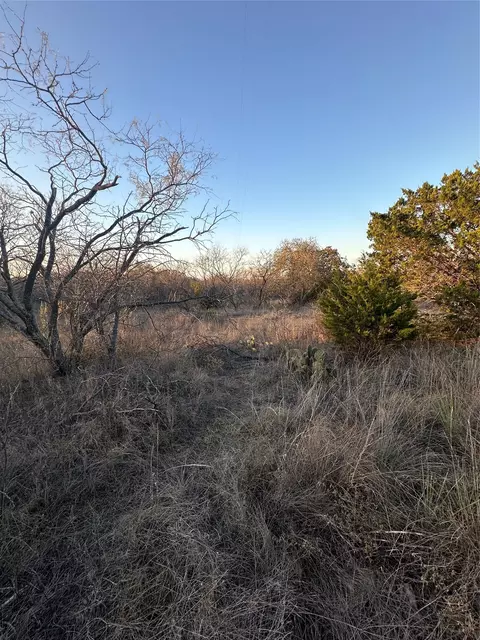 tbd Thomas 80 Rnch, Bangs, TX 76823 photo 19