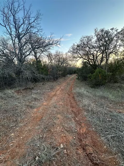 tbd Thomas 80 Rnch, Bangs, TX 76823 photo 6