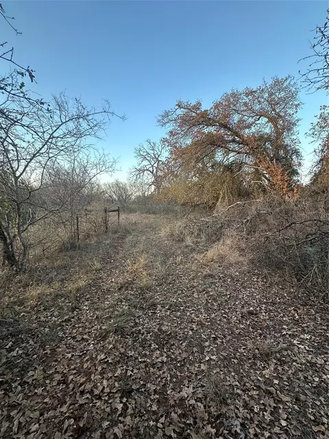 tbd Thomas 80 Rnch, Bangs, TX 76823 photo 25