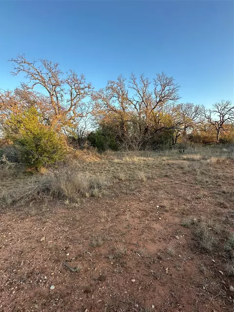 tbd Thomas 80 Rnch, Bangs, TX 76823 photo 18