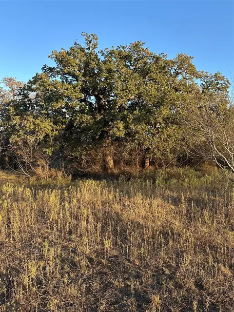 tbd Thomas 80 Rnch, Bangs, TX 76823 photo 38