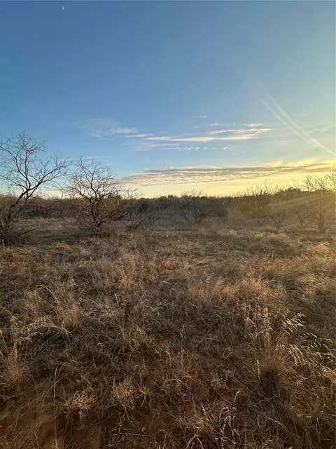 tbd Thomas 80 Rnch, Bangs, TX 76823 photo 9