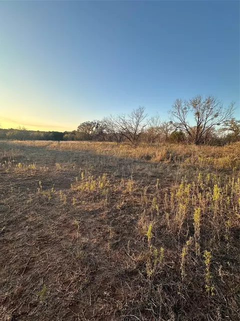 tbd Thomas 80 Rnch, Bangs, TX 76823 photo 15