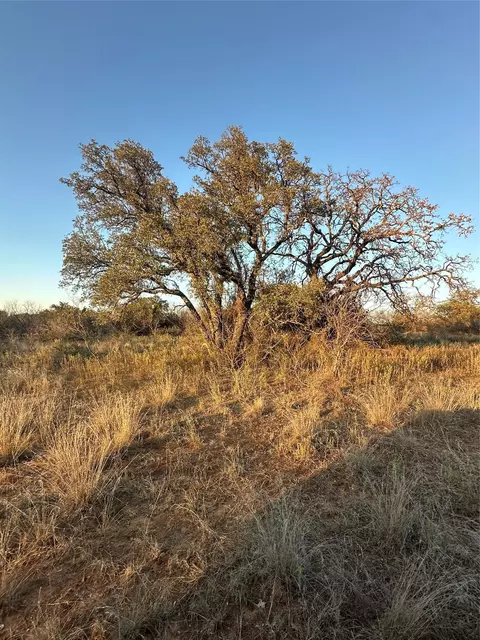 tbd Thomas 80 Rnch, Bangs, TX 76823 photo 31