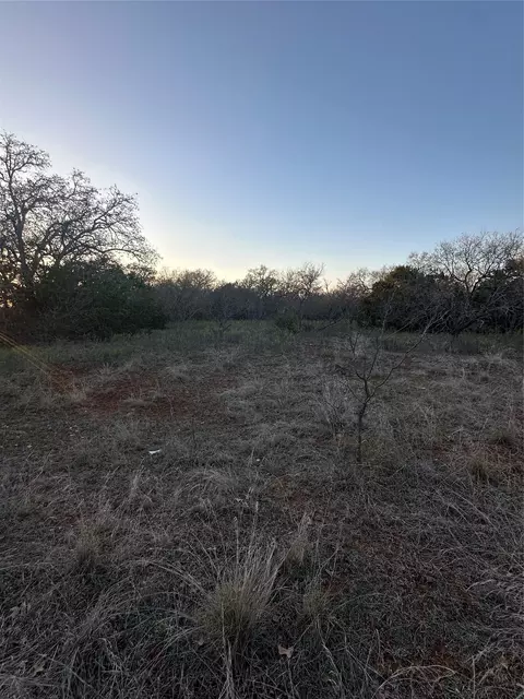 tbd Thomas 80 Rnch, Bangs, TX 76823 photo 7
