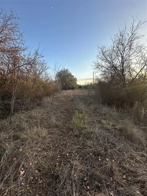 tbd Thomas 80 Rnch, Bangs, TX 76823 photo 28