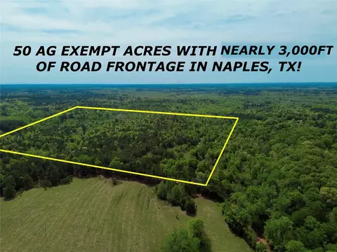 0 County Road 2742, Naples, TX 75568